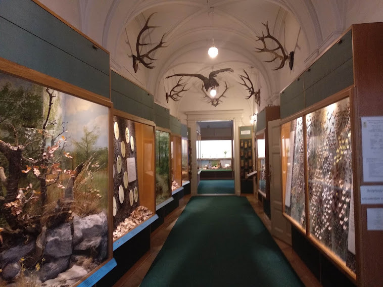 Zirc természettudományi Múzeum