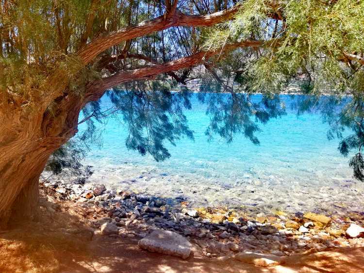 agios4.kep