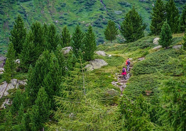 alpesi kirándulók