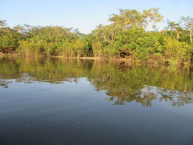 amazonas Ecuador 1