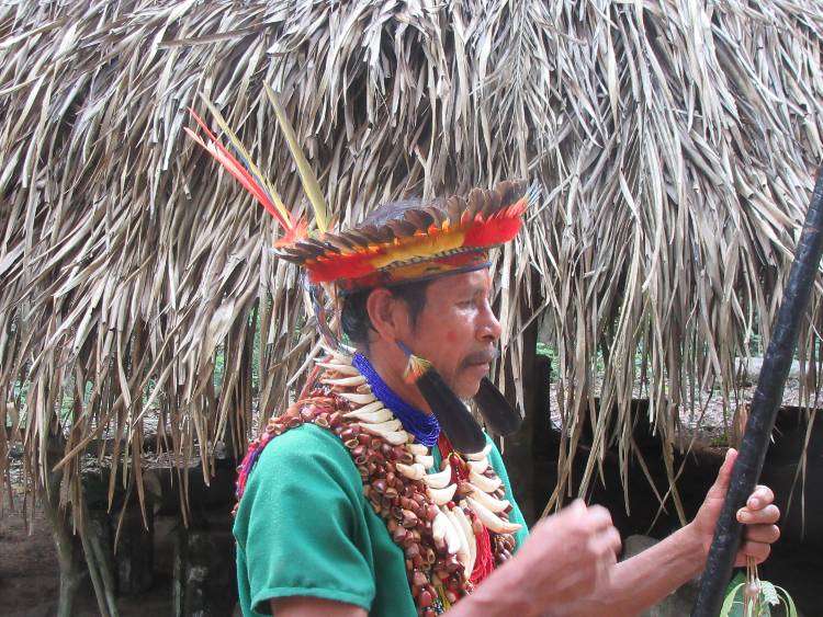 amazonas Ecuador 3