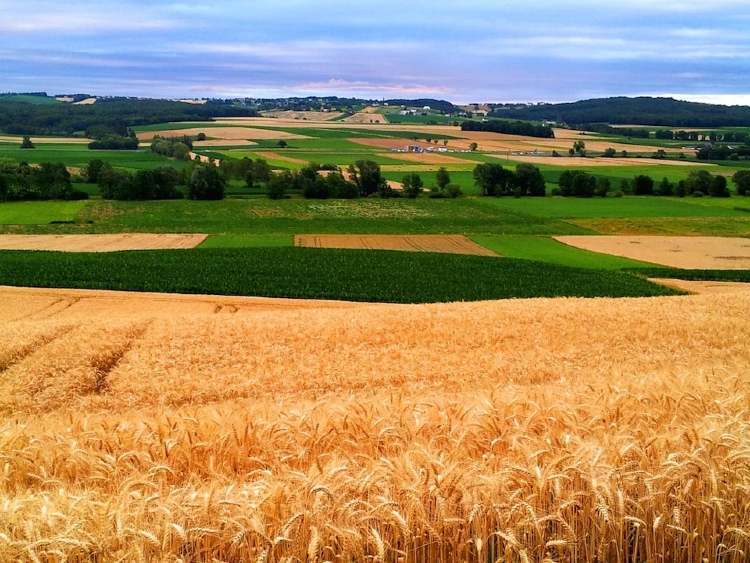 ausztria burgenland mezo