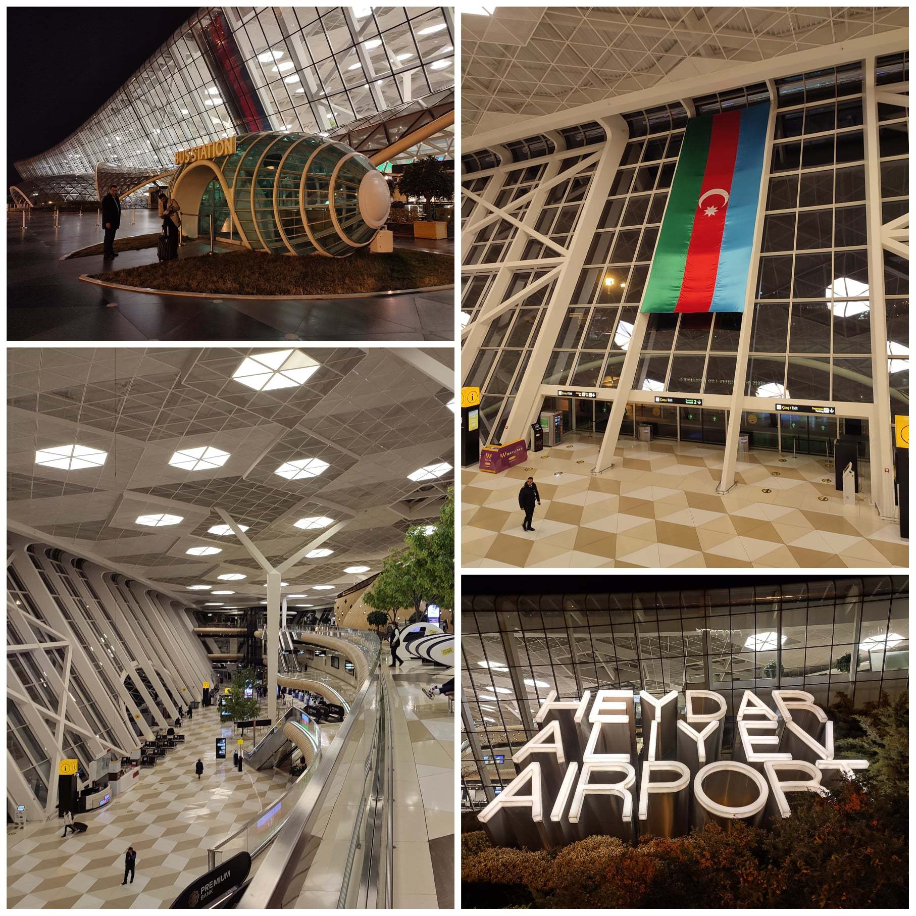 baku reptér