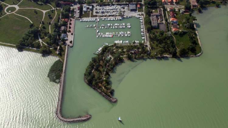 balatonboglar kikoto1