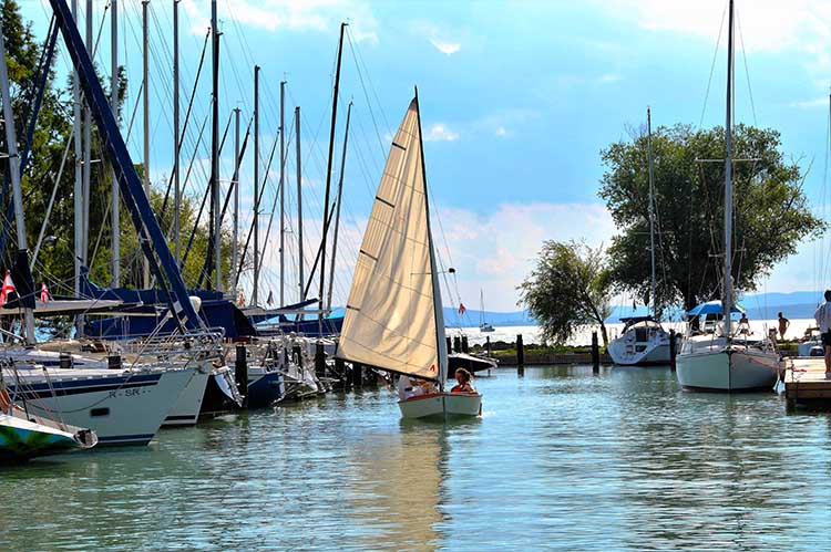 balatonboglar szoveg kozott