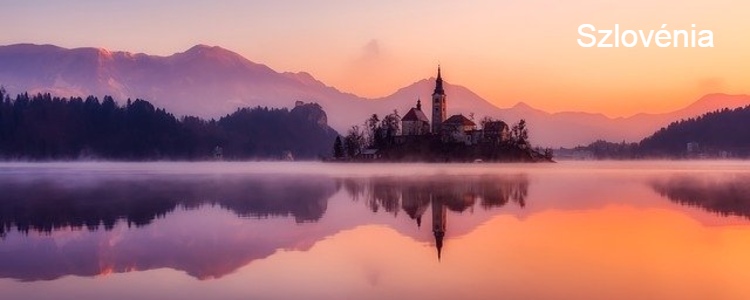 bled headerx