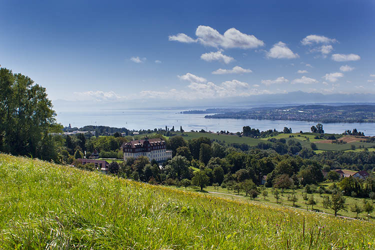 bodeni to szoveg kozt01