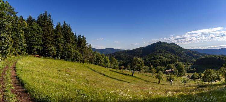 breitenberg fekete erdő panoráma