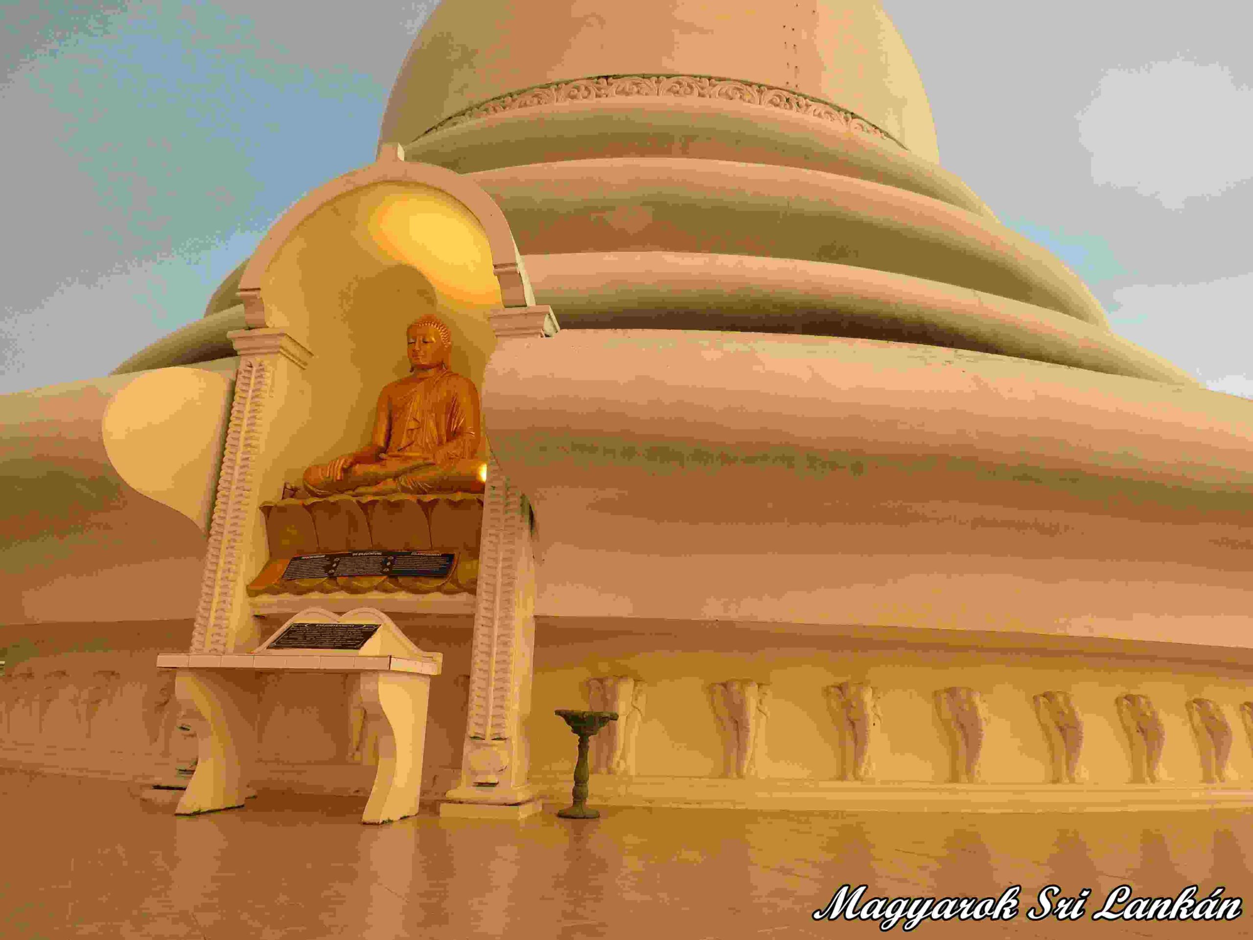 buddhax