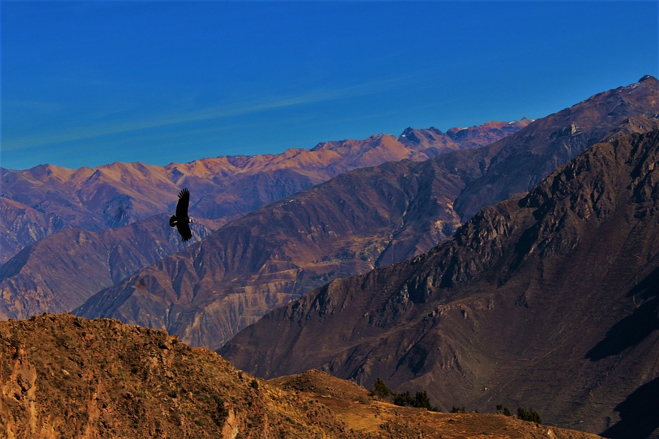 colca1