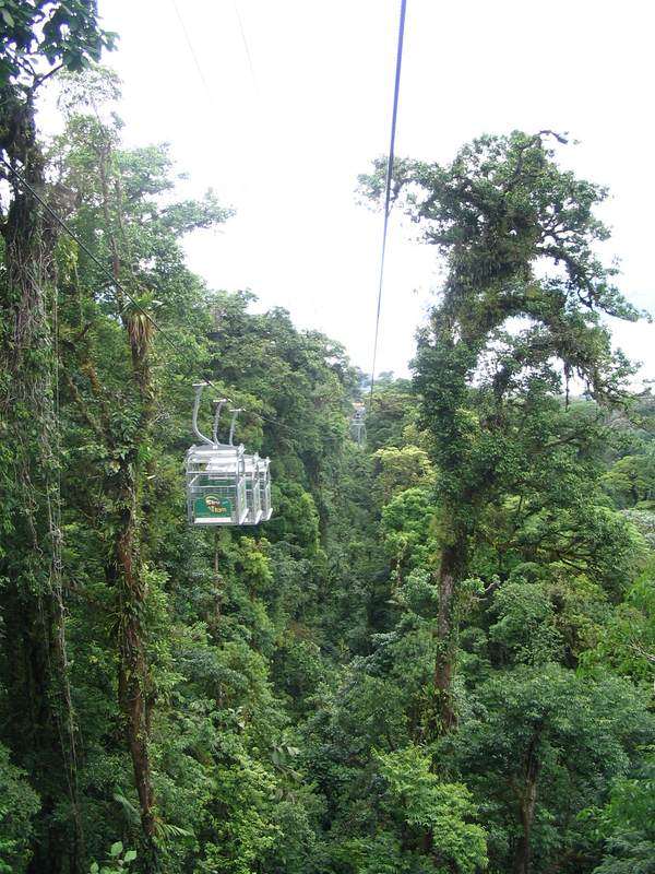 costa rica lombkrona ösvény