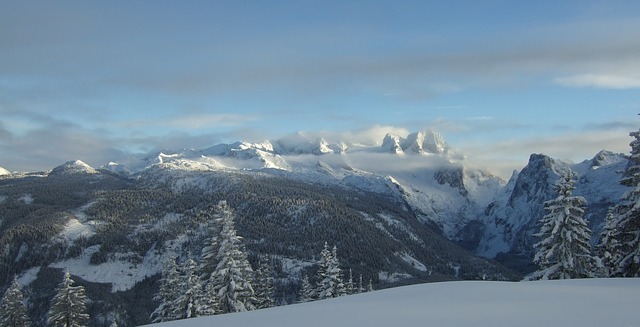 dachstein pb