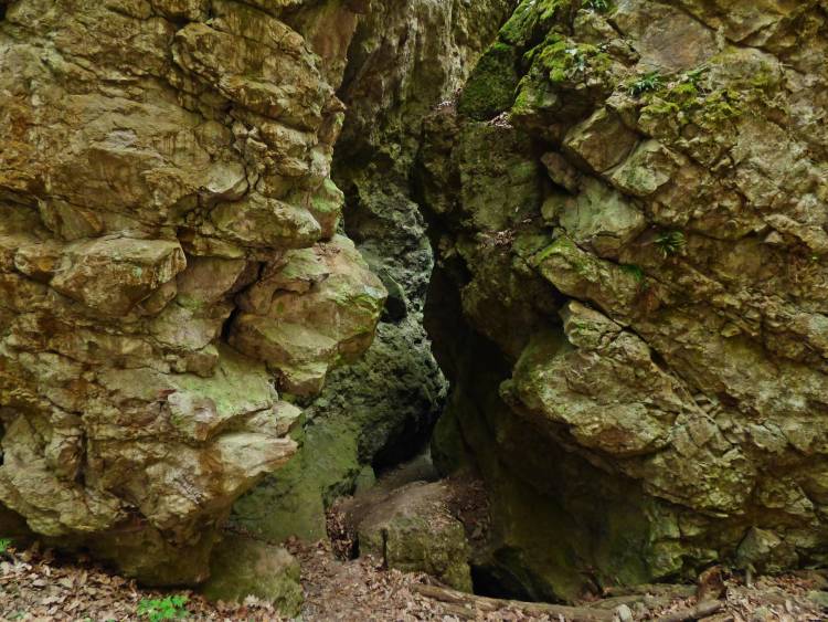 damasa szakedék