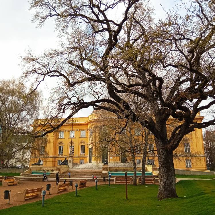 debrecen Deri terx