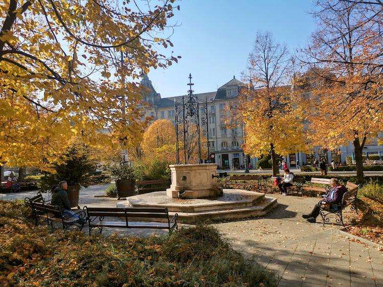 debrecen aranybika