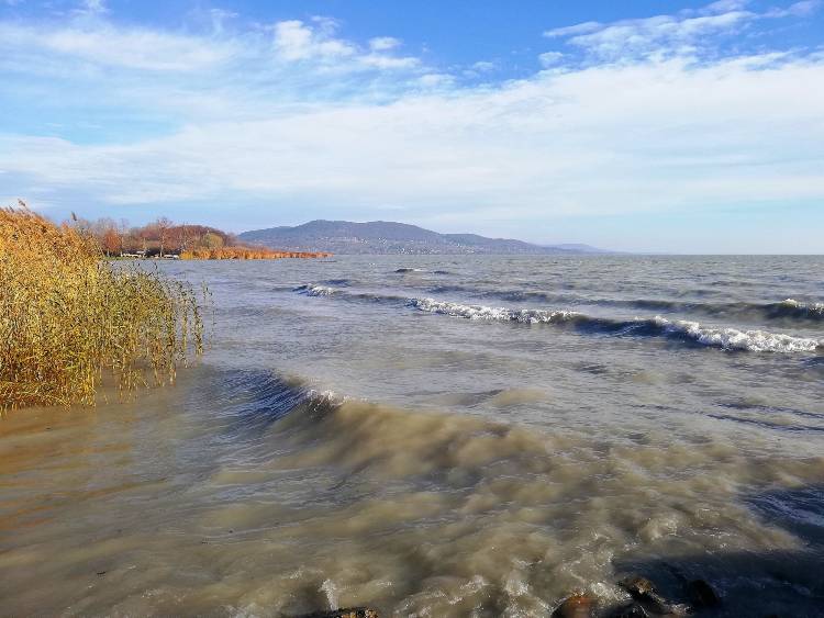 télibalatonx