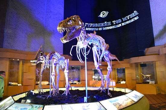 dino múzeum 1