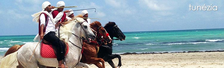 djerba header