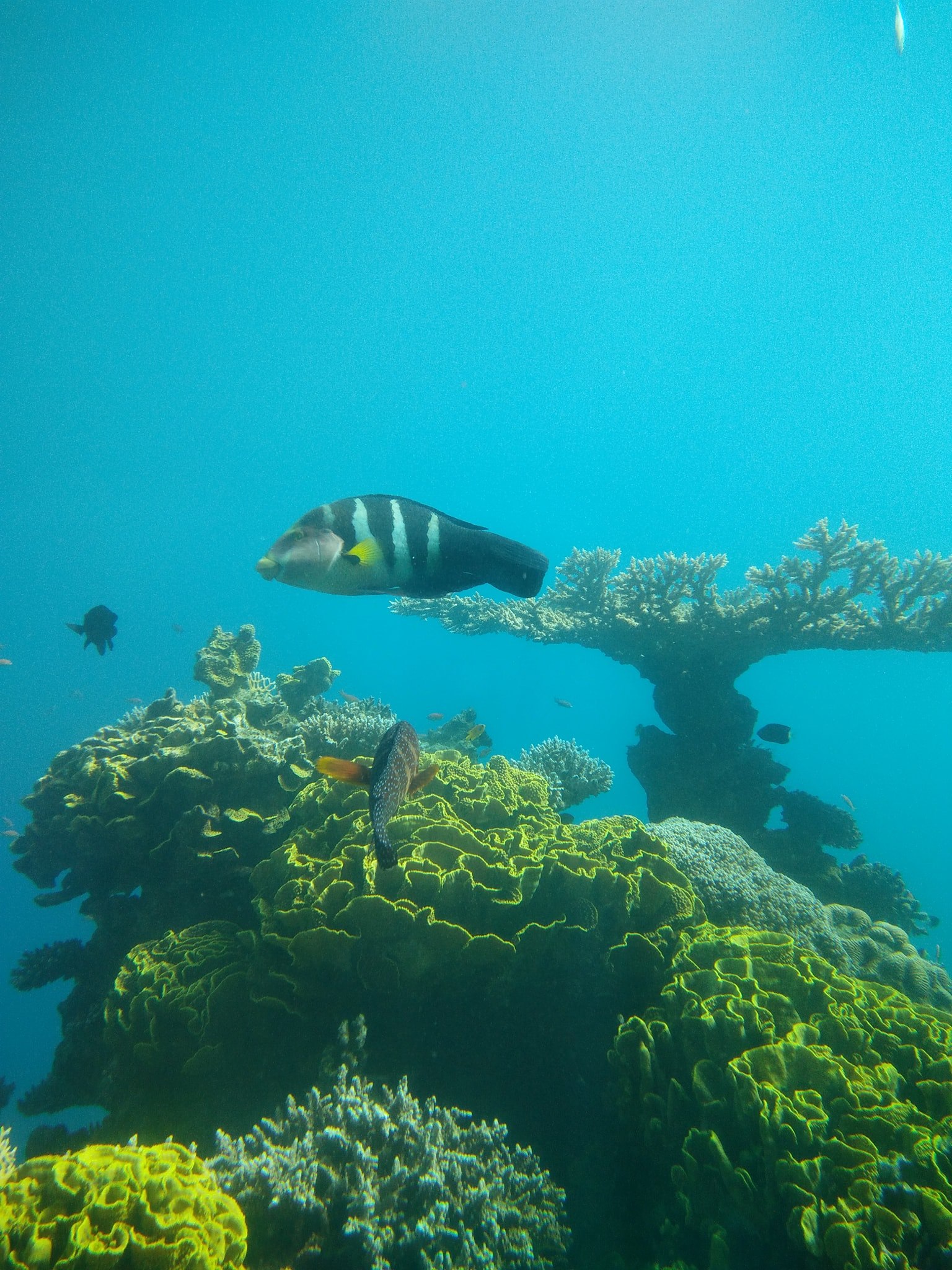 eilat 2 1