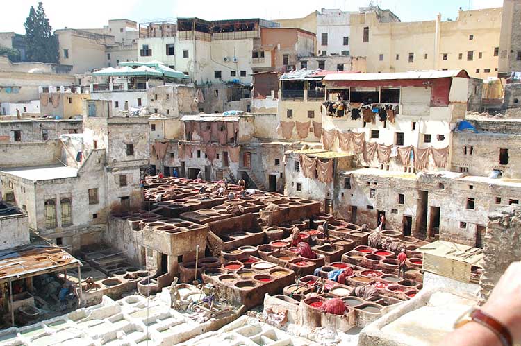 fez