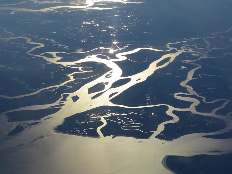 florida everglades
