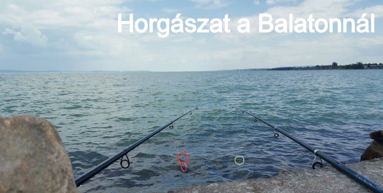 TOP 10 : Hogyan lehet horgászni a Balatonnál ?