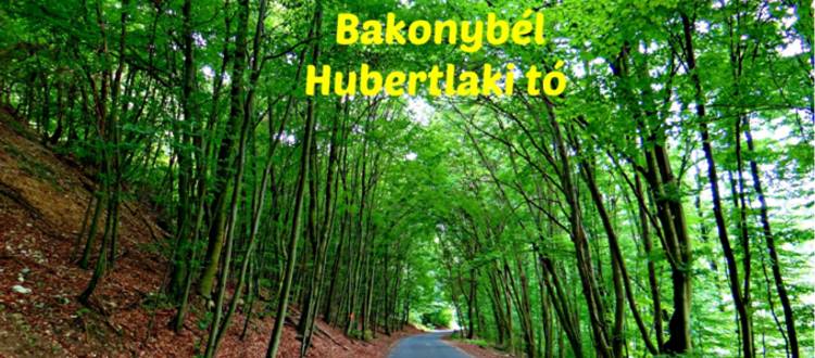 A bakonyi Hubertlaki-tó ami egy kicsit hasonlít az erdélyi Gyilkos-tóhoz