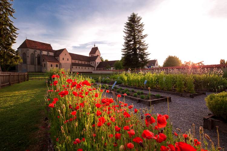 insel reichenau krautergartenx