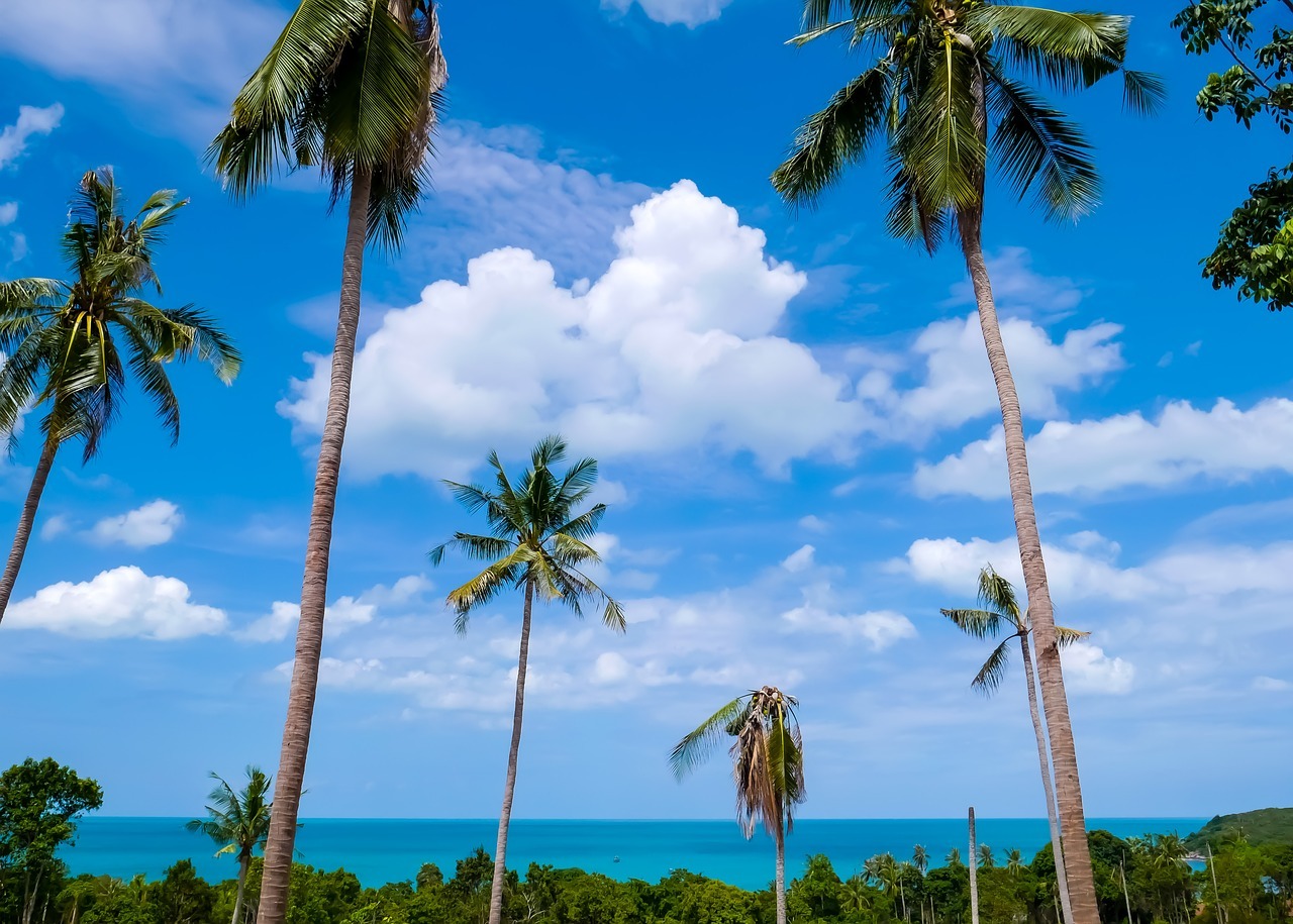 koh samui 2