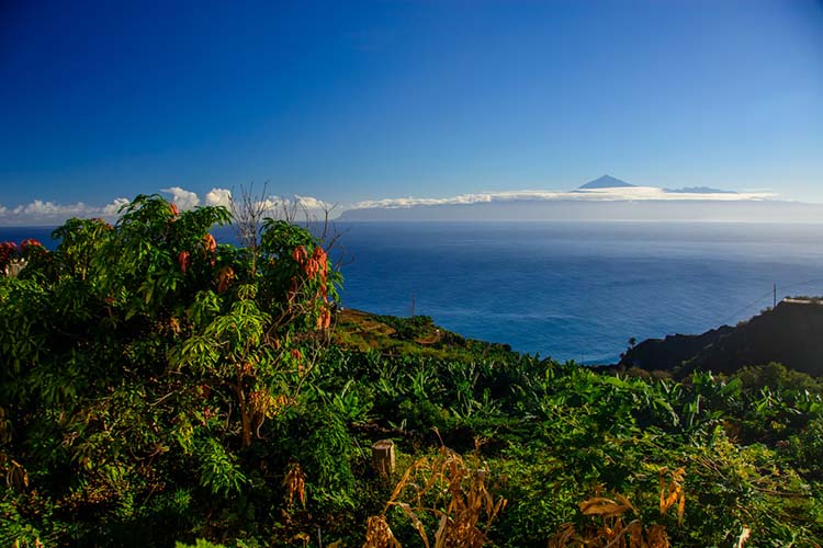 la gomera 03