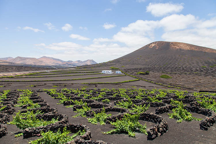lanzarote 04