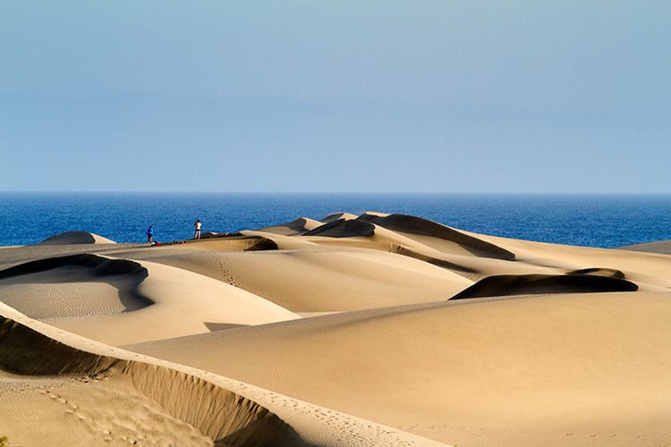 las maspalomas