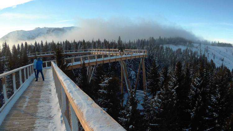lombkorona ösvény zakopane