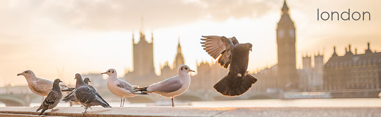 London egész évben minket vár – érdekességek, látnivalók, utazási tippek