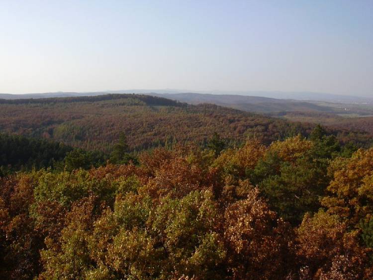 lővérek