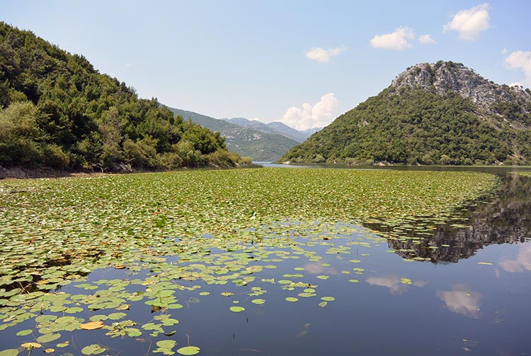 lovrec szoveg kozott montenegro