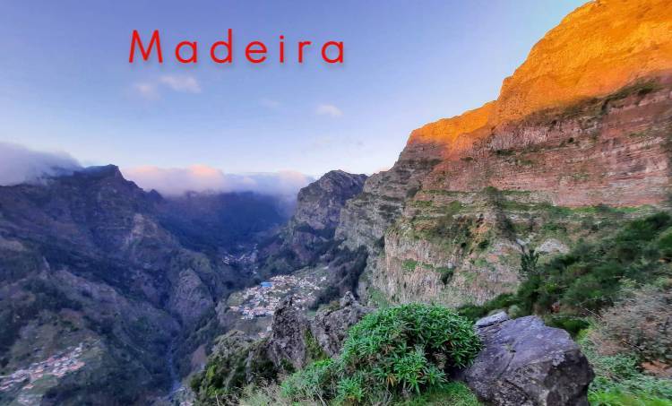 madeira header