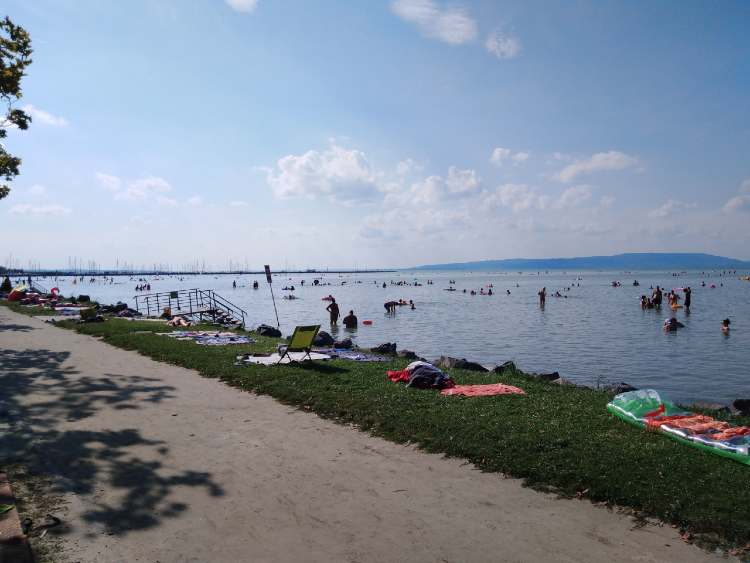 magyarorszag balatonfenyves2