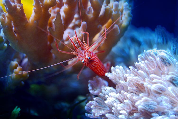 marsa alam 01