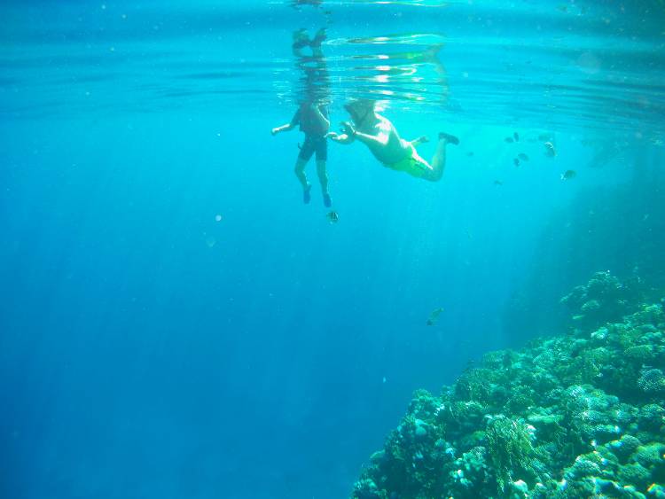 marsa alam sznori