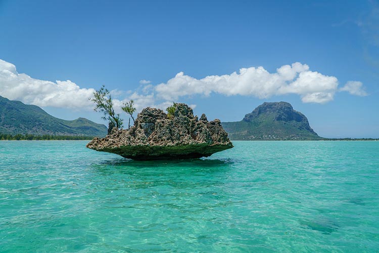 mauritius tippek 01