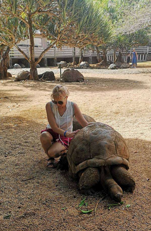 mauritius teknős