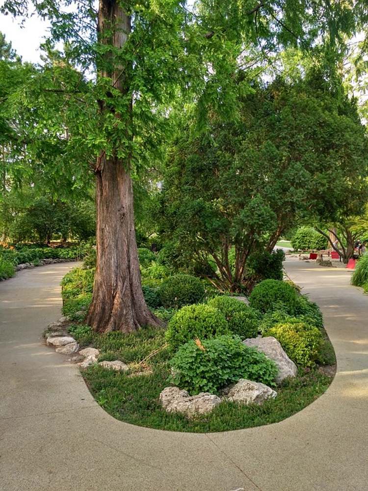 mo margitsziget park liget