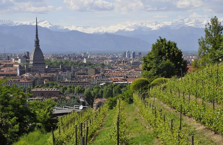 olaszorszag torino tajkep szolokkel