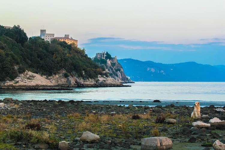 olaszorszag trieszt duino kastely kutyussal1