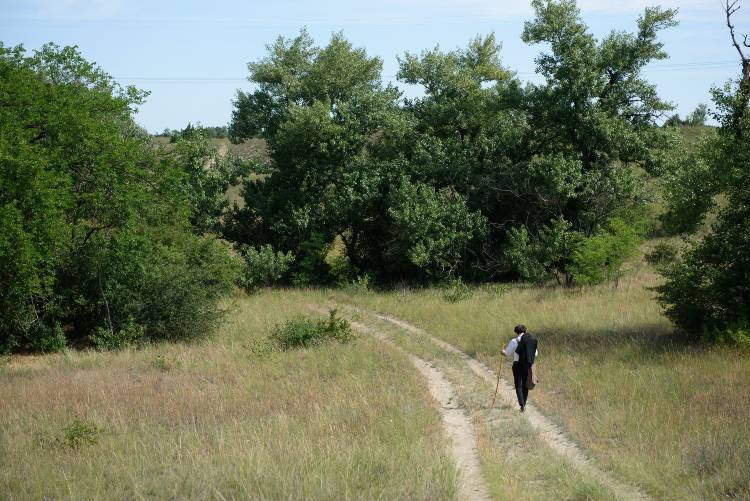 Petőfi Sándor versei a szemünk láttára kelnek életre Bács-Kiskun megyében