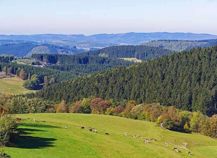 sauerland 1763797 1280
