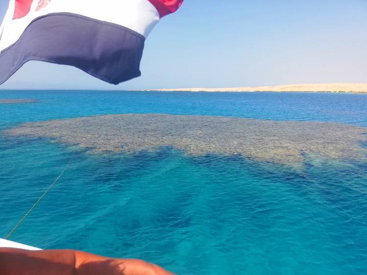 sharm 6