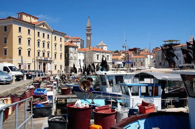 slovenia piran campanile