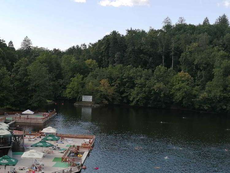 sovata medve tó